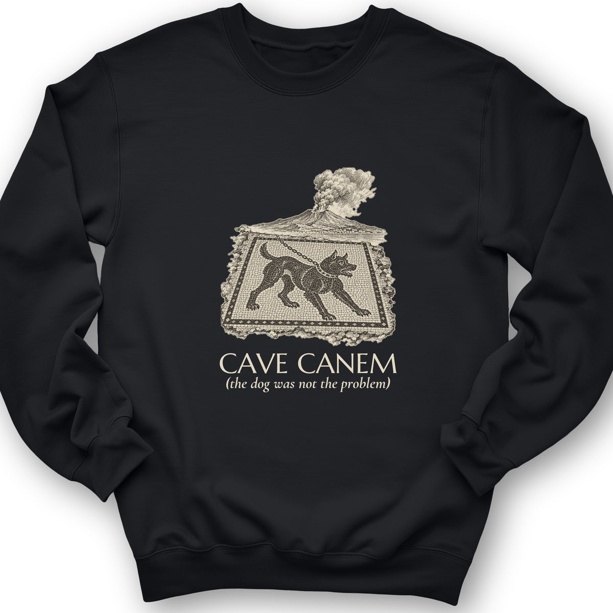 Cave Canem The Dog Was Not The Problem Crewneck