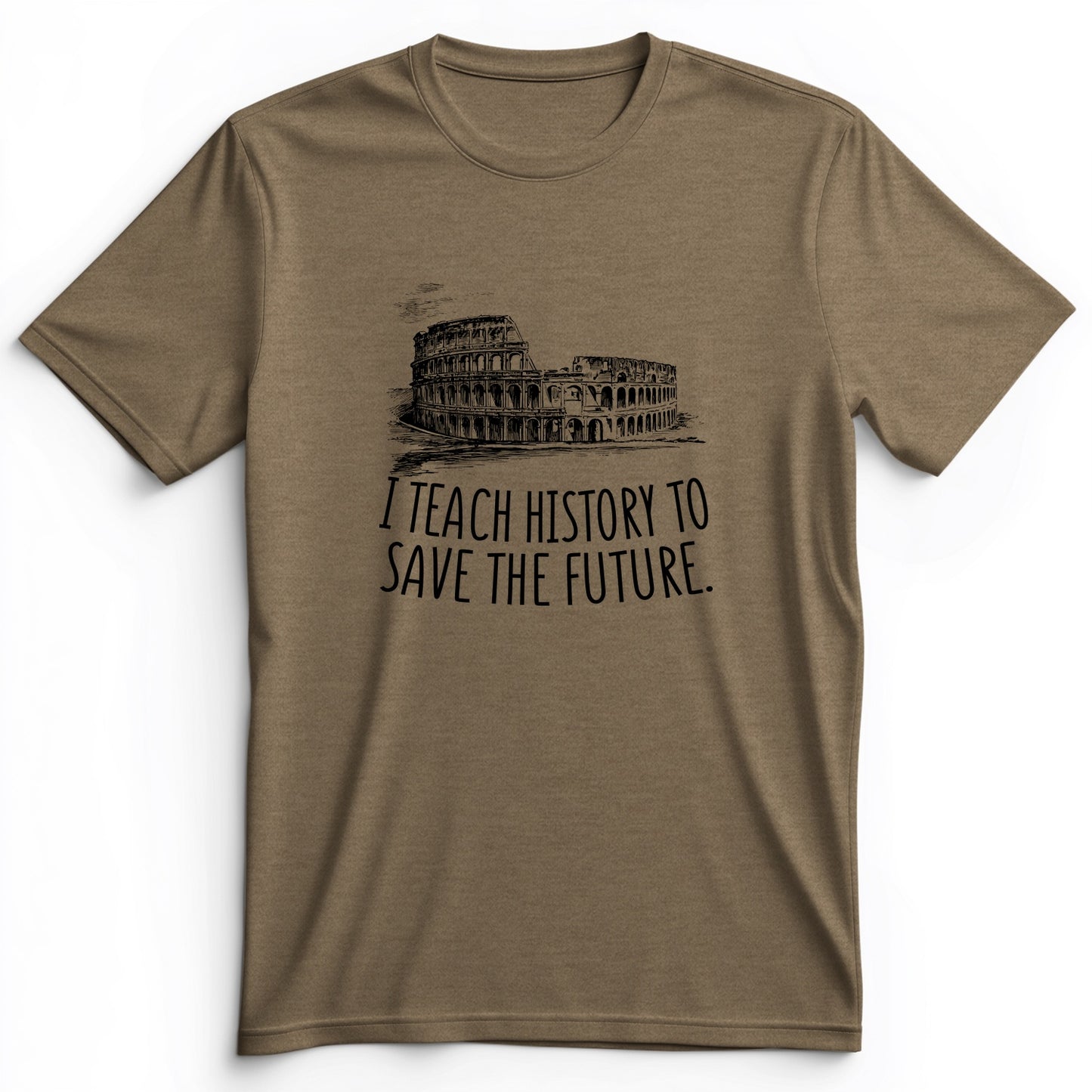 I Teach History To Save The Future Premium Tee