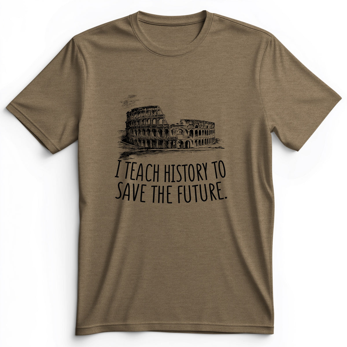 I Teach History To Save The Future Premium Tee