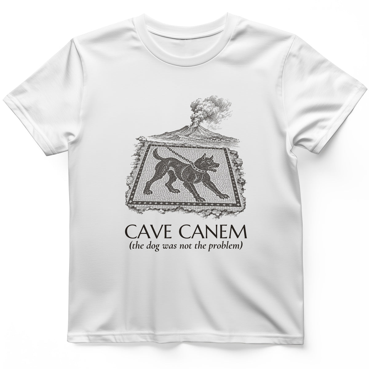 Cave Canem The Dog Was Not The Problem T-Shirt
