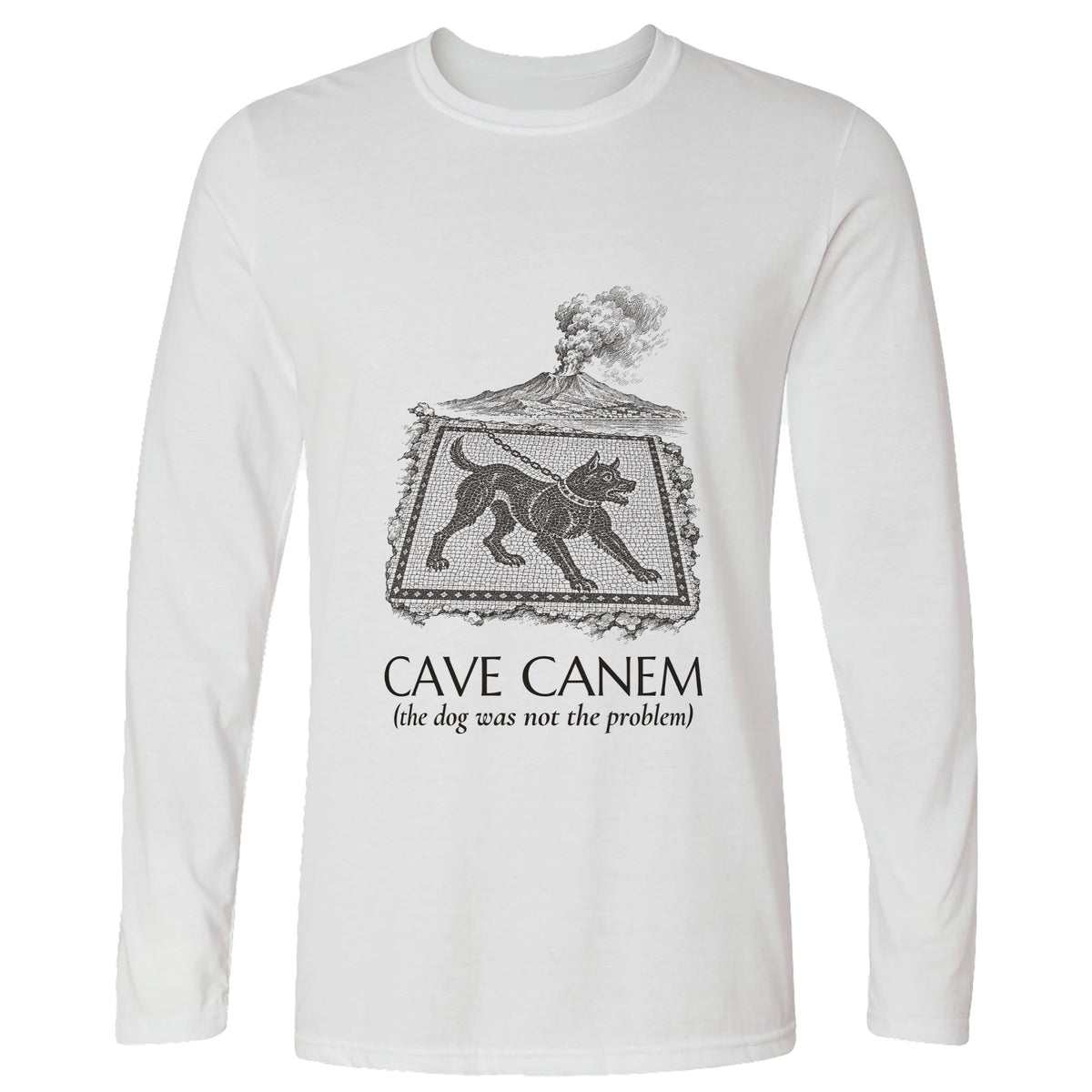 Cave Canem The Dog Was Not The Problem Long Sleeve T-Shirt