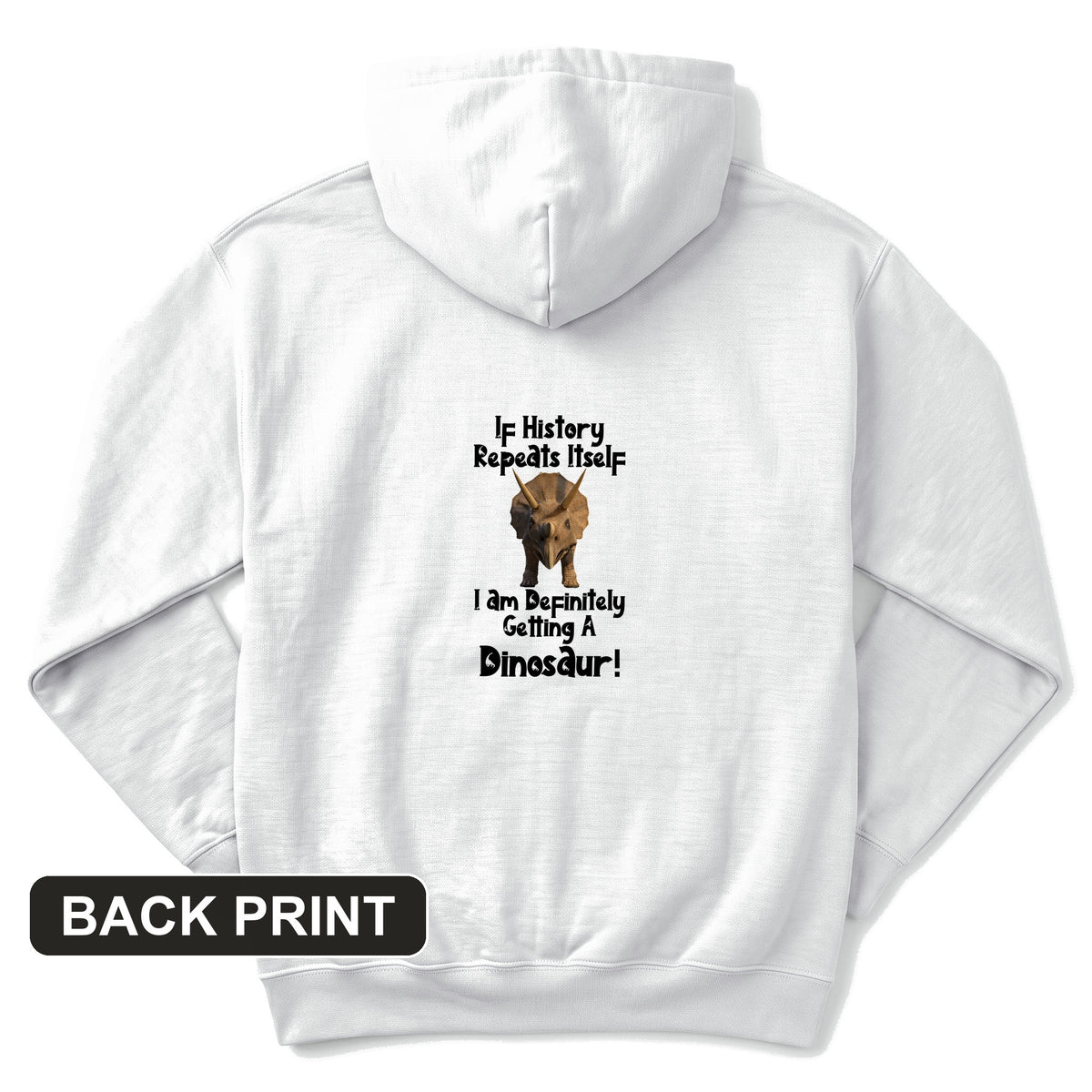 Dinosaur Back Print Hoodie