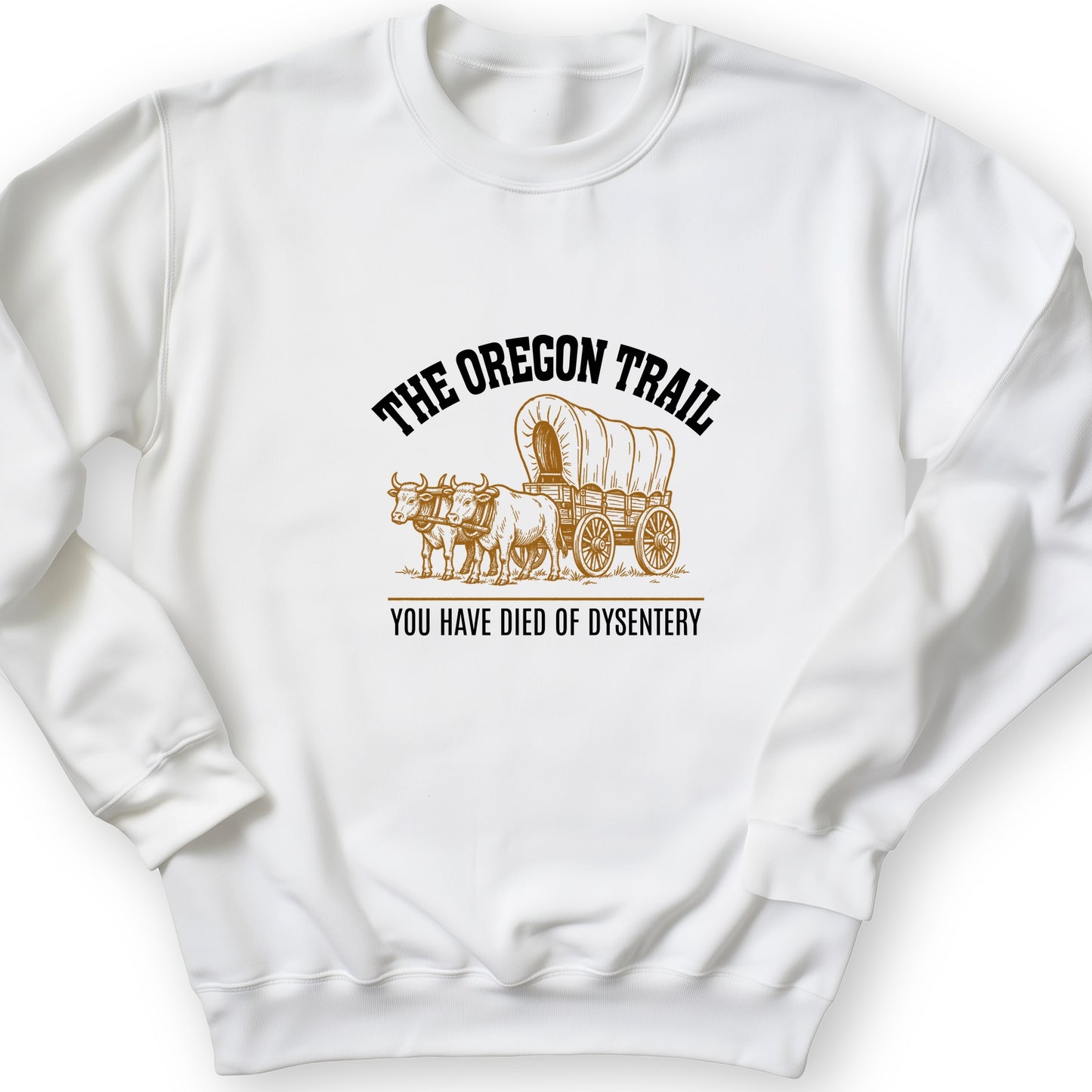 Oregon Trail Dysentery Sweatshirt