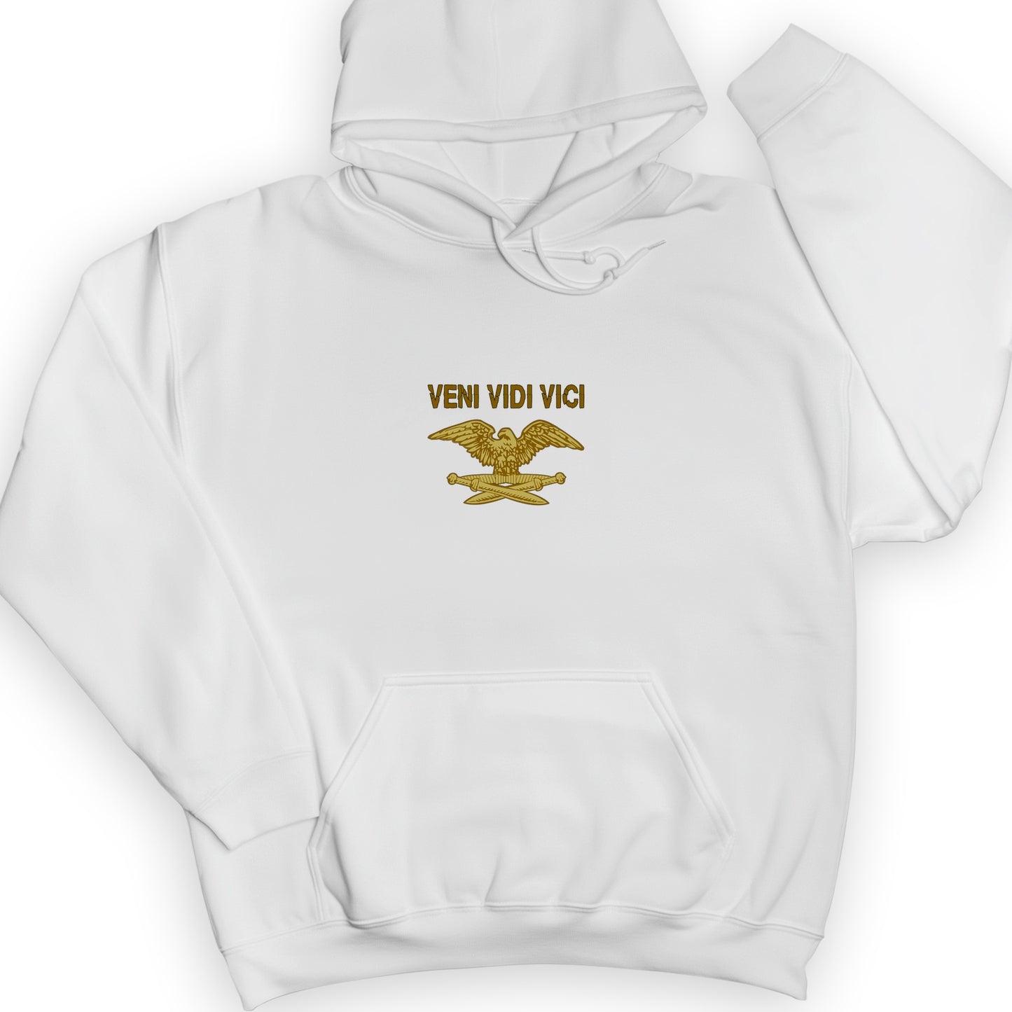 Veni Vidi Vici Hoodie