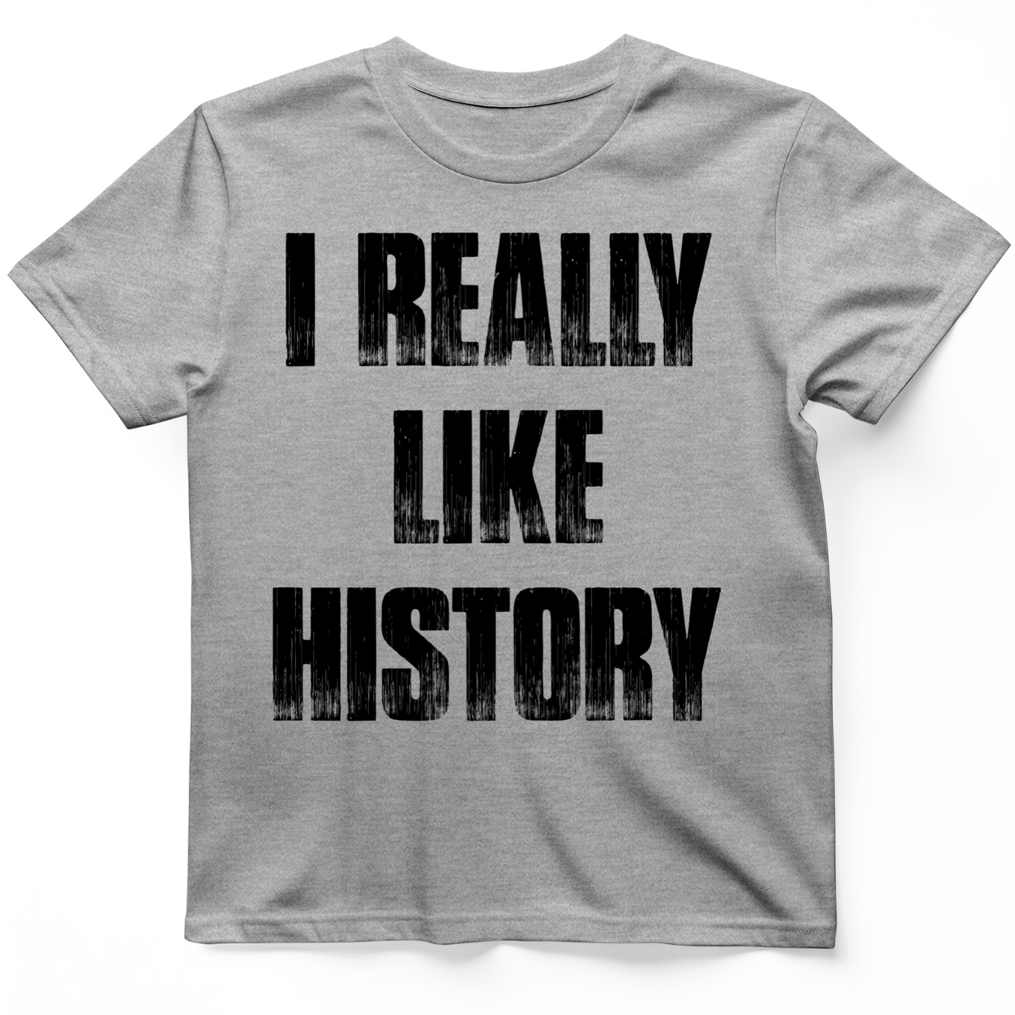 I Really Like History T-Shirt Sport Grey / S