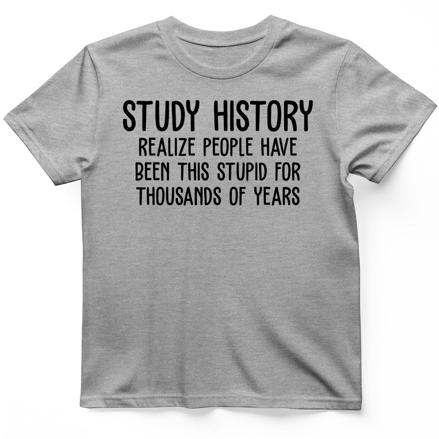 Study History T-Shirt Sport Grey / S
