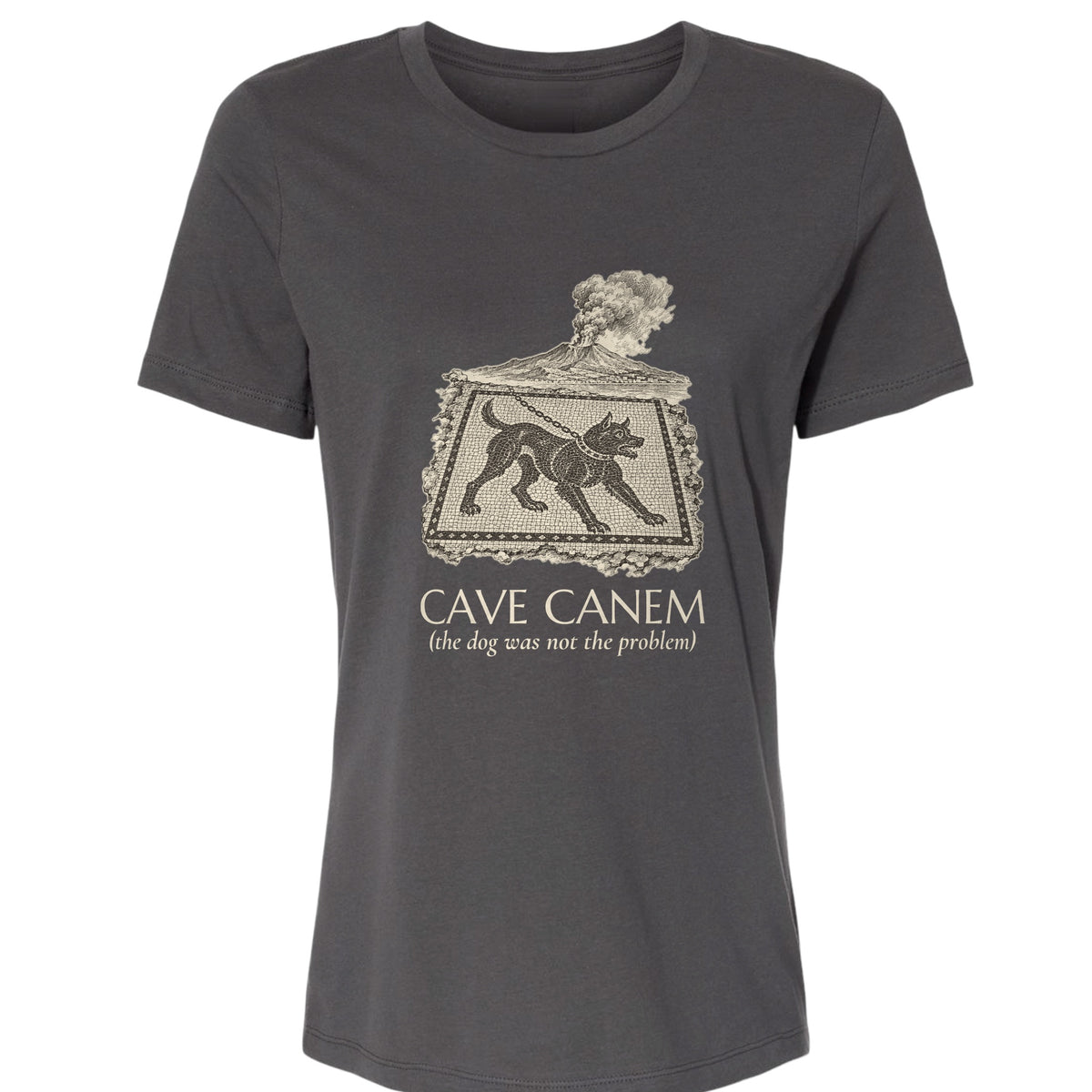 Cave Canem The Dog Was Not The Problem Women's T-Shirt