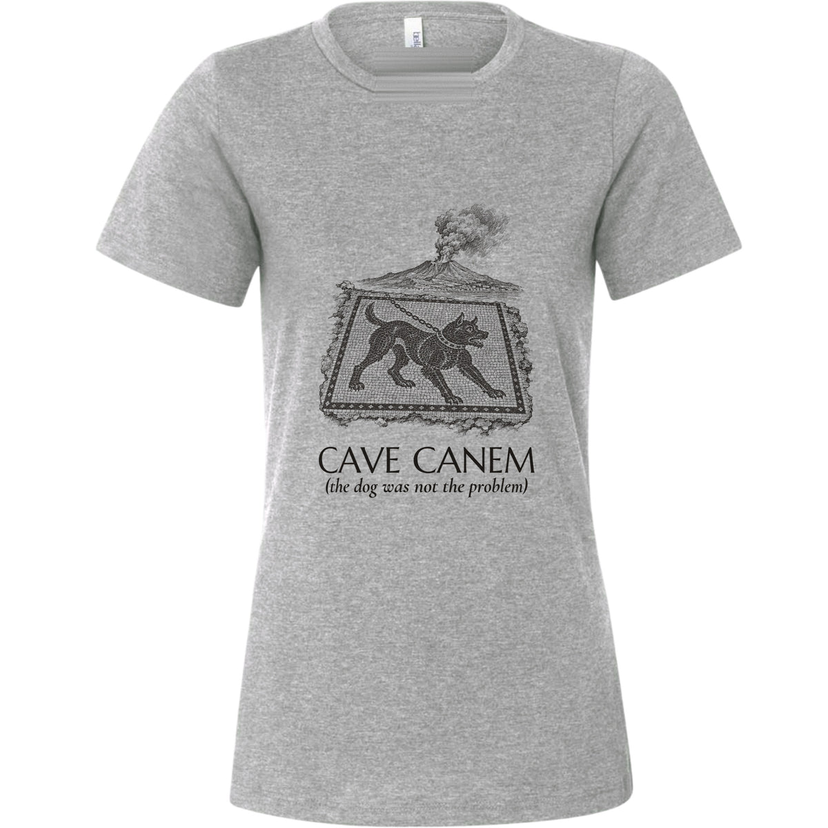 Cave Canem The Dog Was Not The Problem Women's T-Shirt