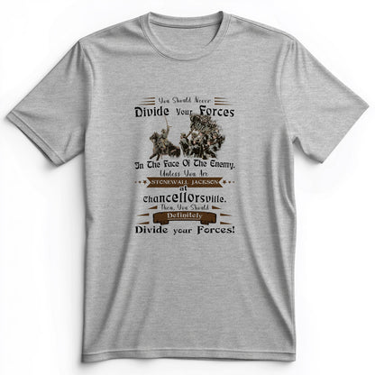 Dividing Forces Premium Tee
