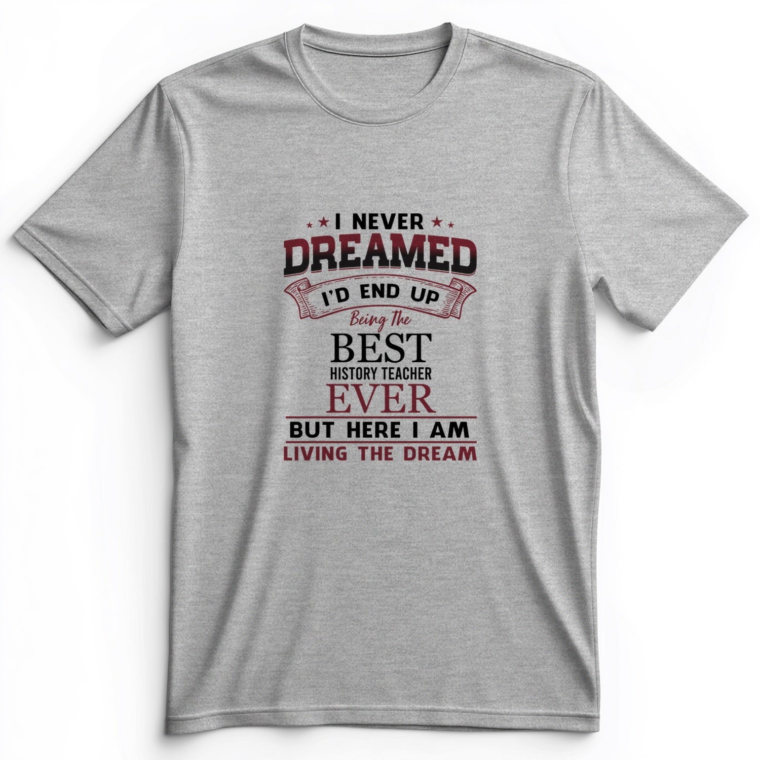 I Never Dreamed Premium Tee