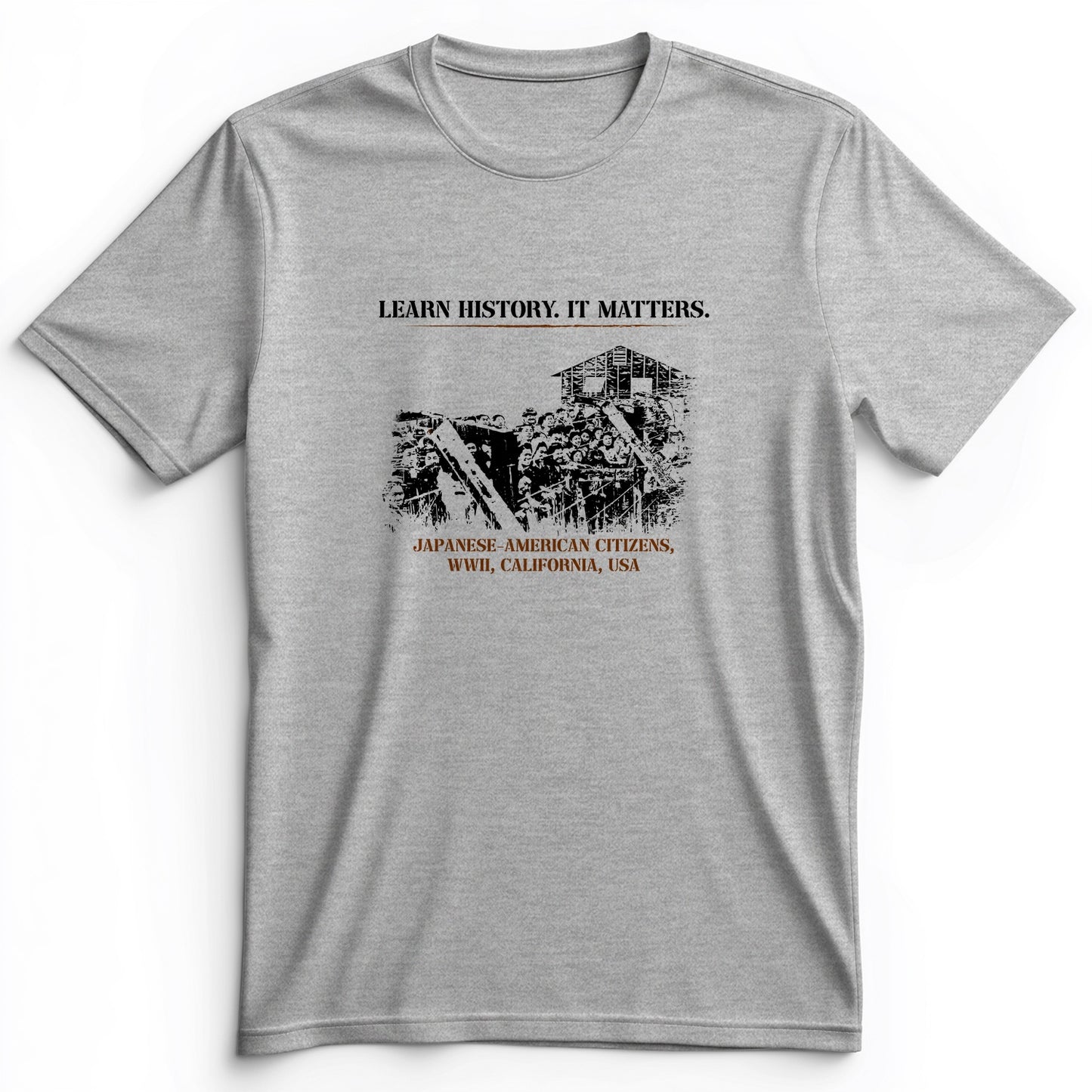 Learn History It Matters Premium Tee