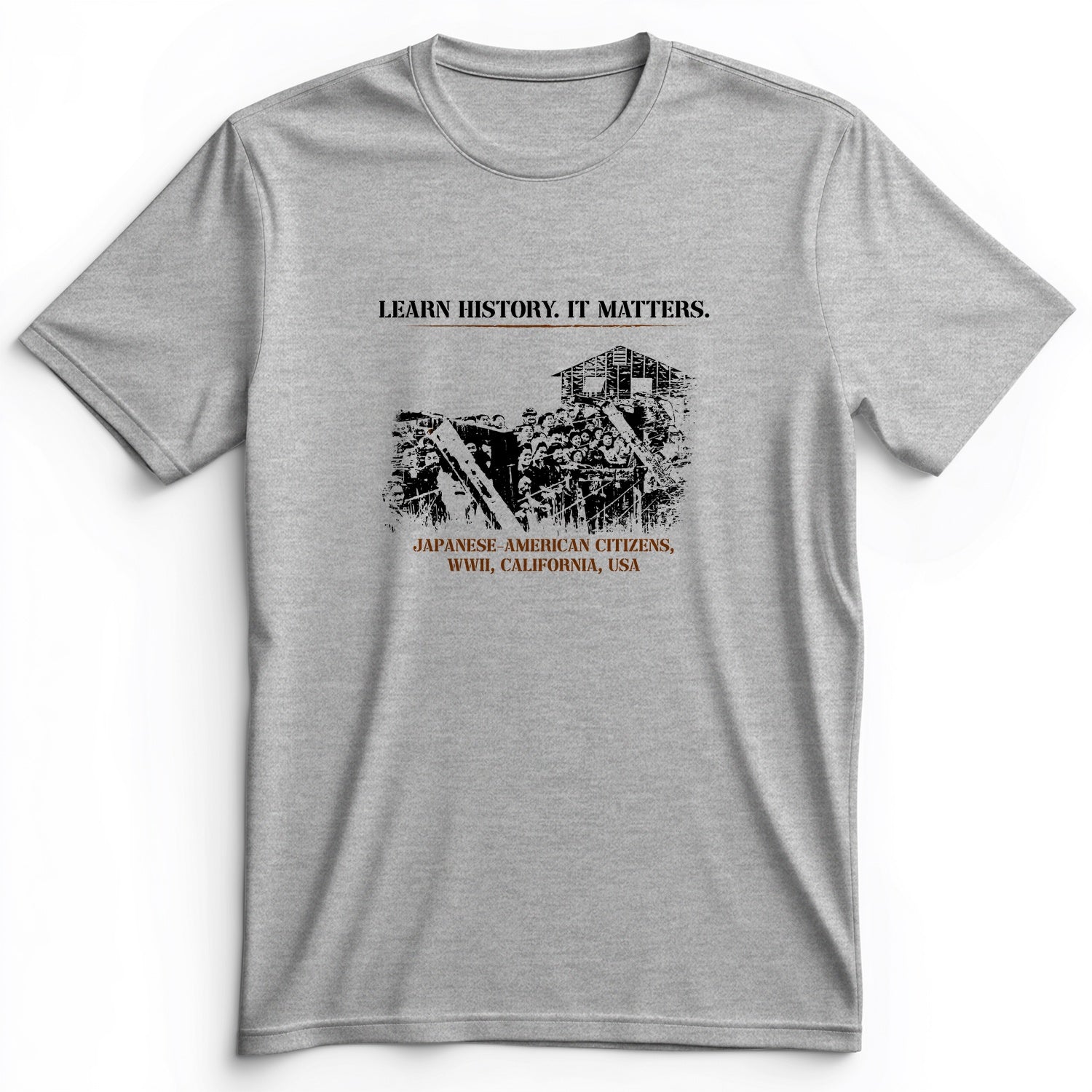 Learn History It Matters Premium Tee