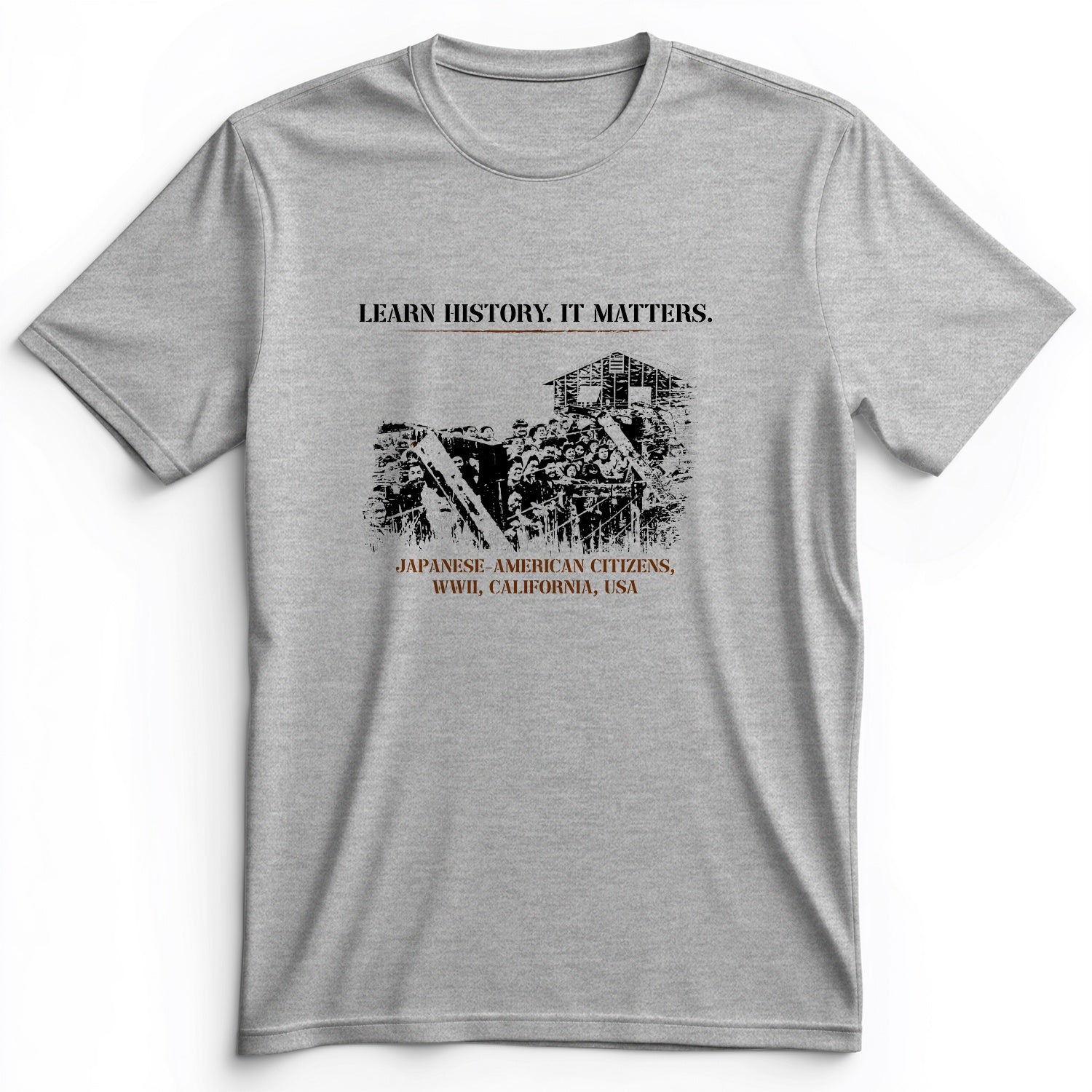 Learn History It Matters Premium Tee