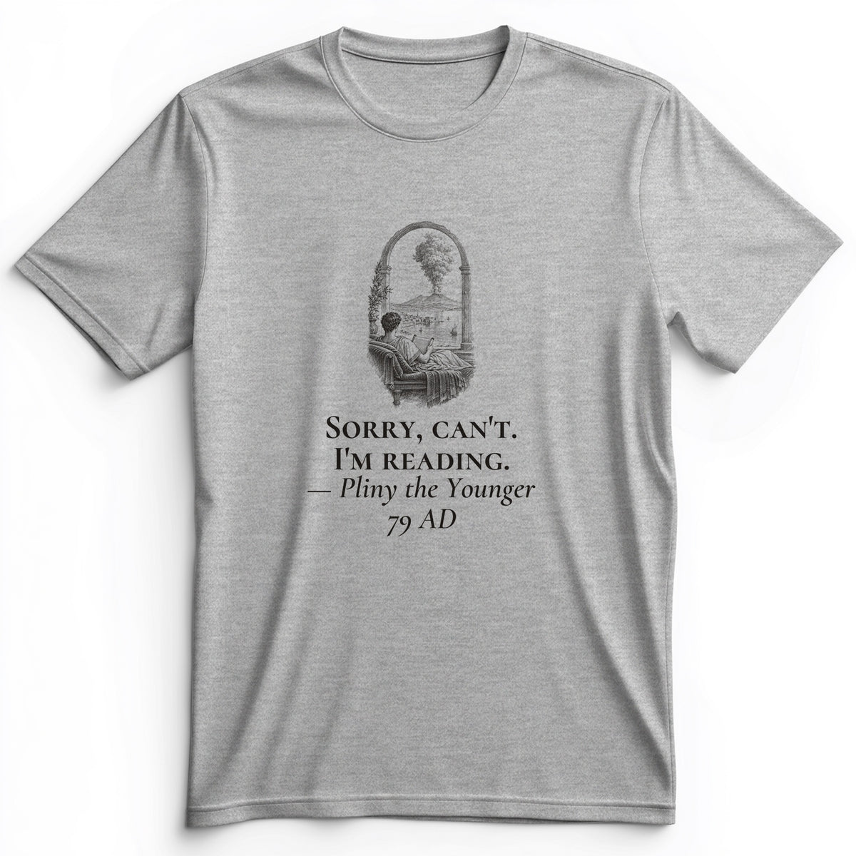 Pliny Sorry Cant Im Reading Premium Tee