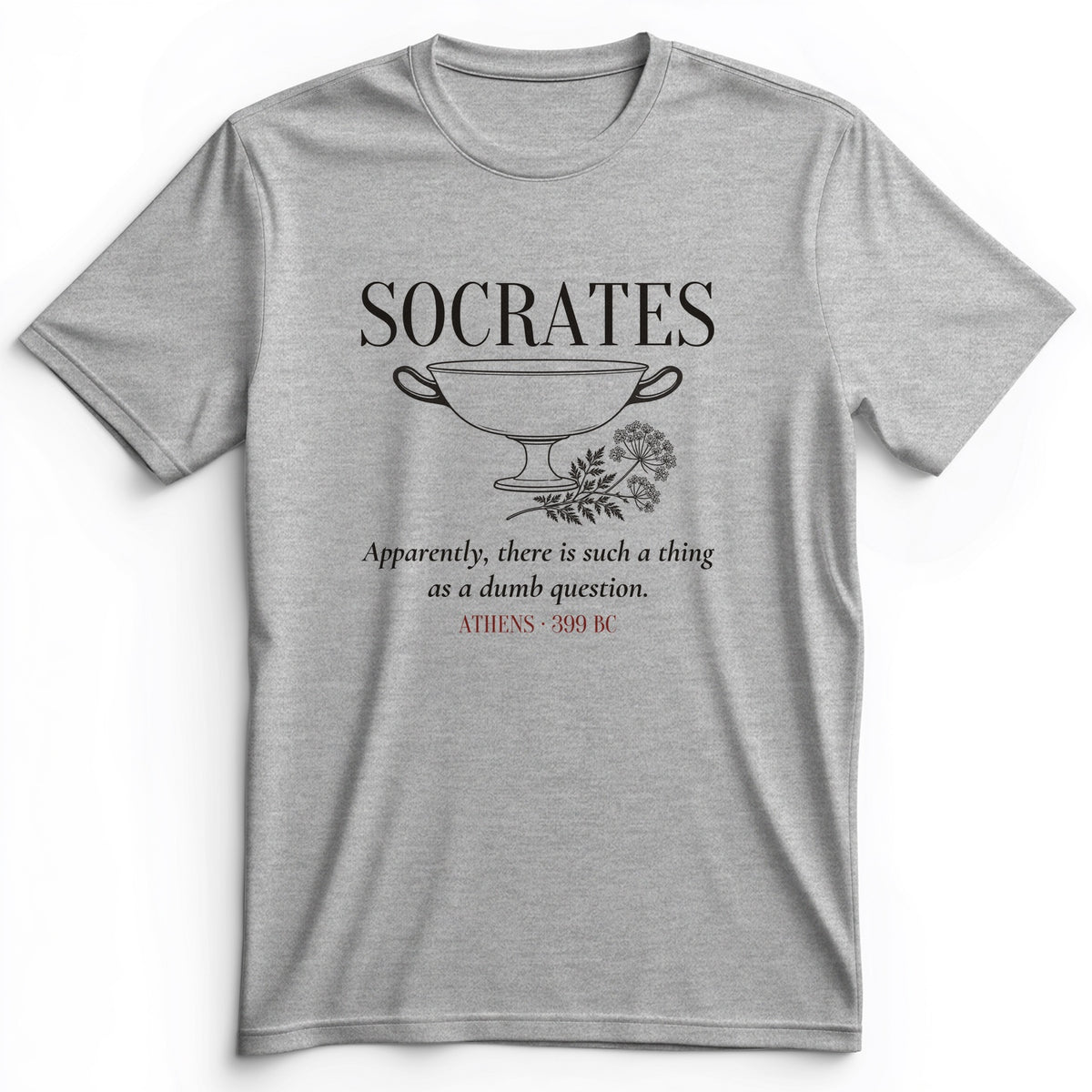 Socrates Dumb Question Premium Tee