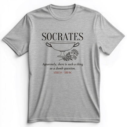Socrates Dumb Question Premium Tee