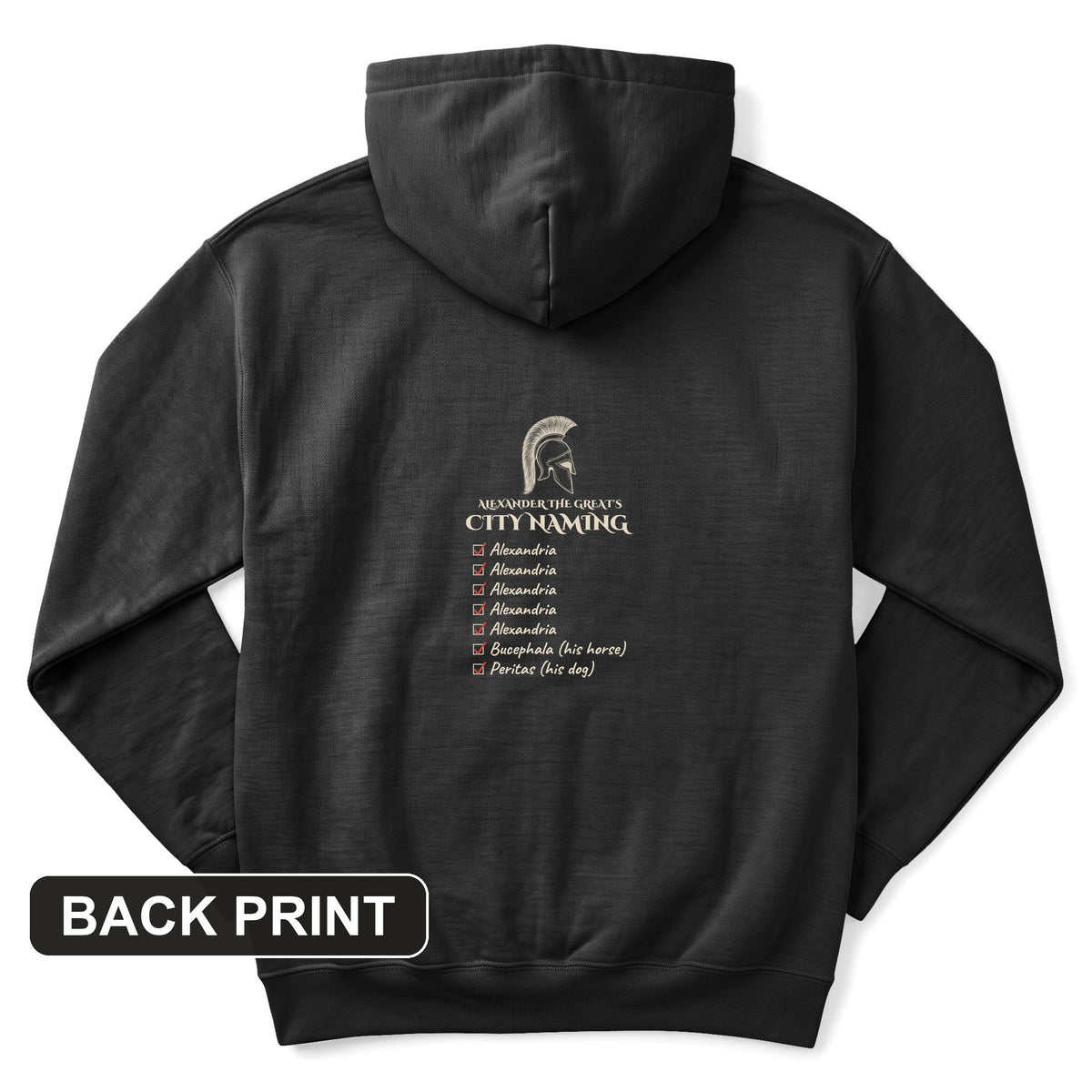 Alexander City Naming Back Print Hoodie