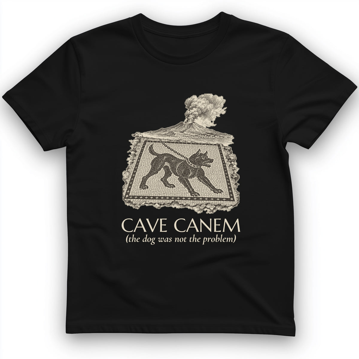 Cave Canem The Dog Was Not The Problem T-Shirt