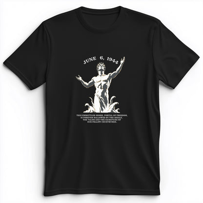 Dday Statue Premium Tee