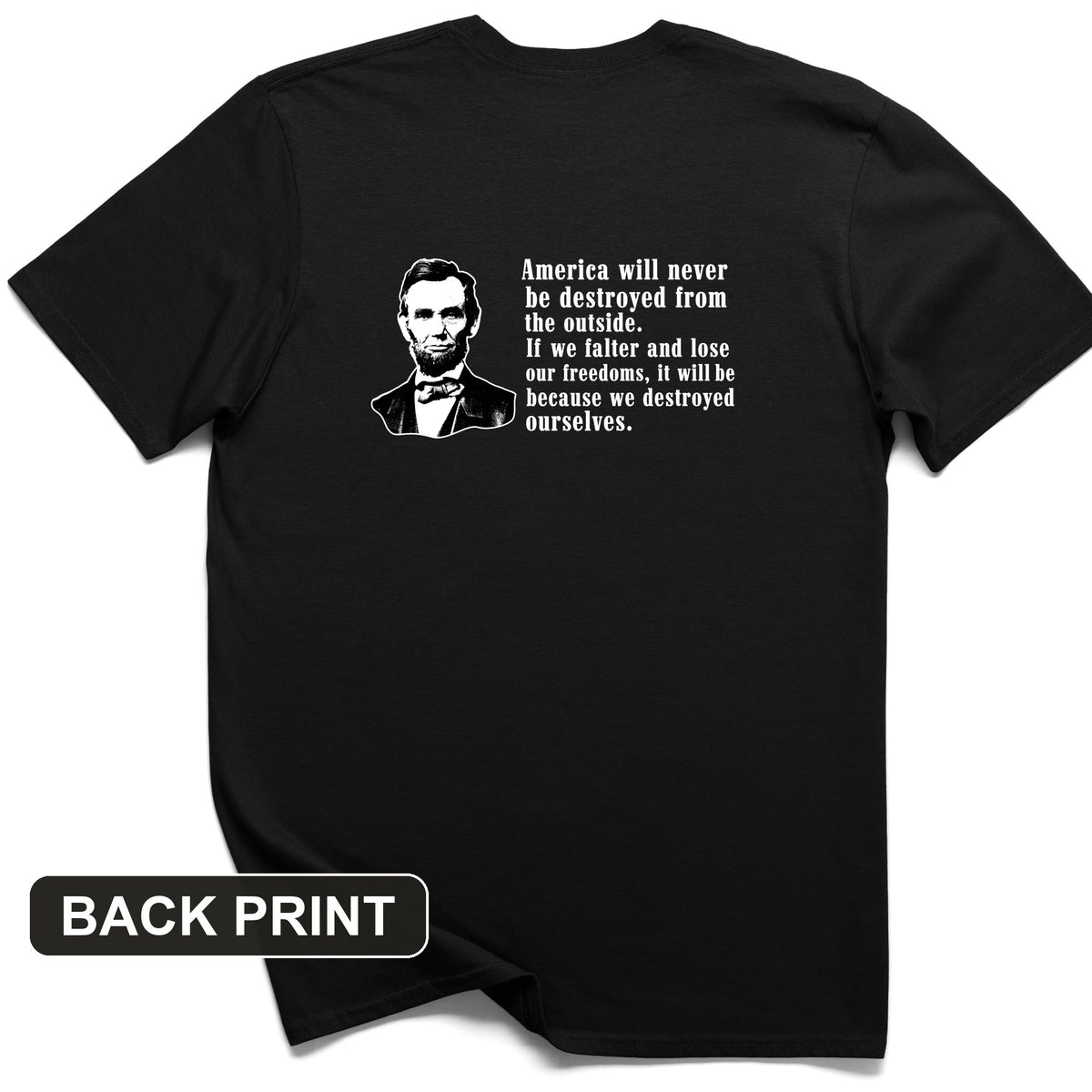 Destroyed Ourselves Lincoln Back Print T-Shirt