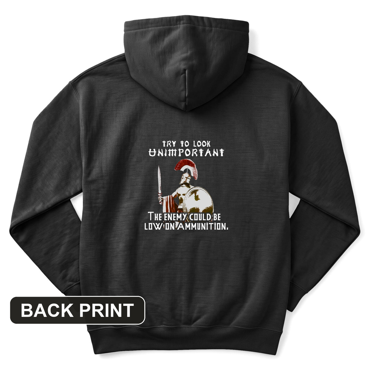 Greek Logic Back Print Hoodie