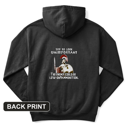 Greek Logic Back Print Hoodie
