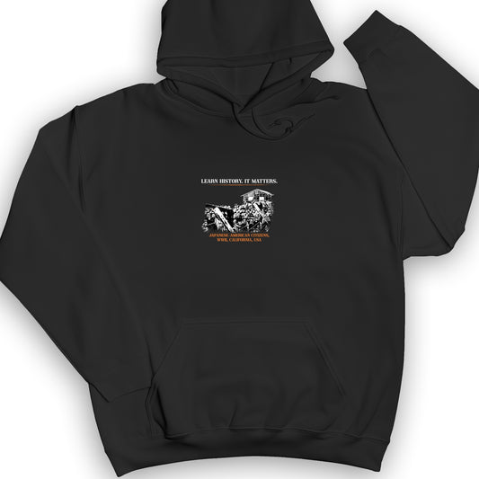 Learn History It Matters Hoodie
