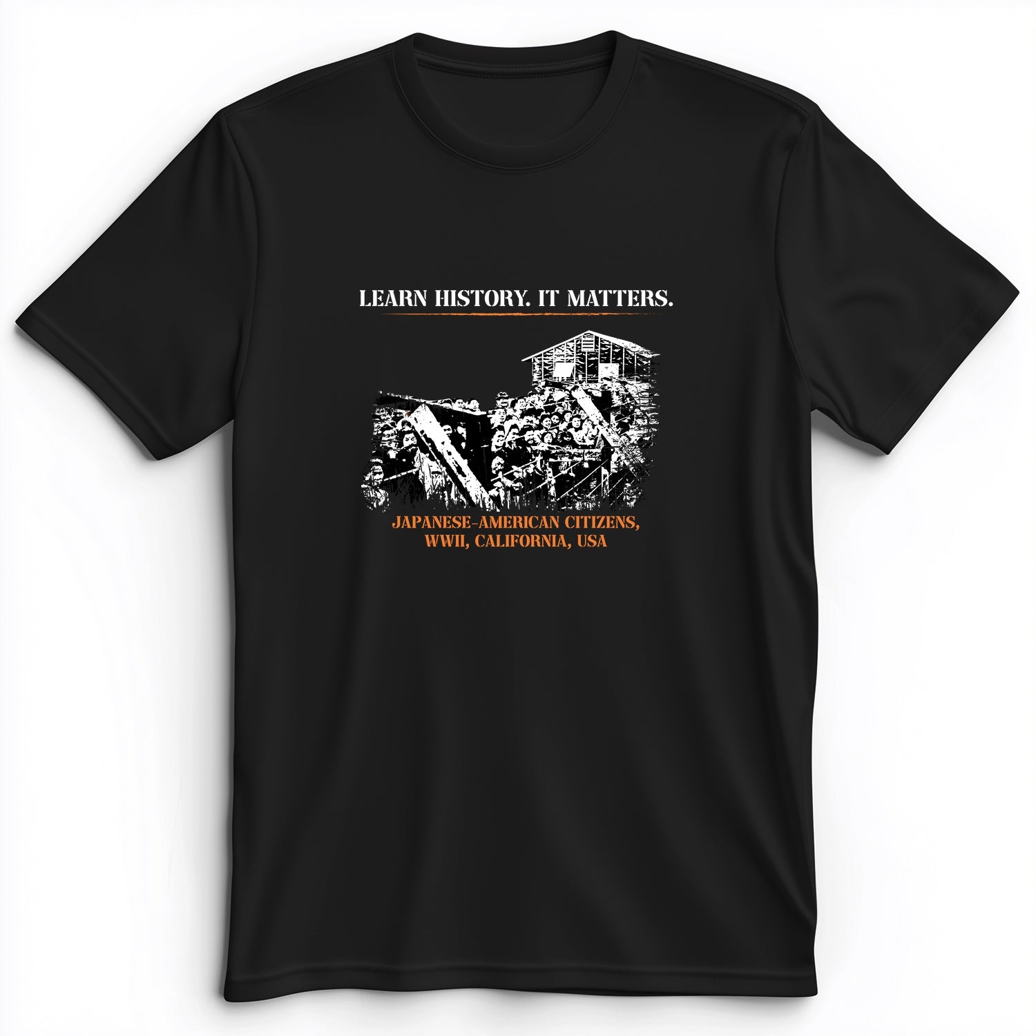 Learn History It Matters Premium Tee