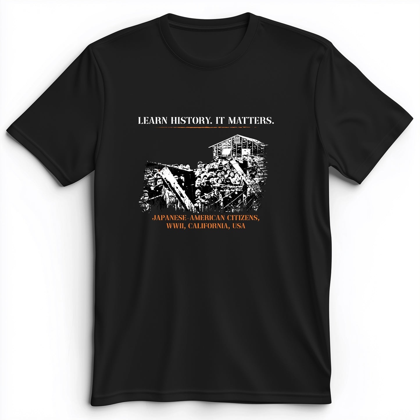 Learn History It Matters Premium Tee