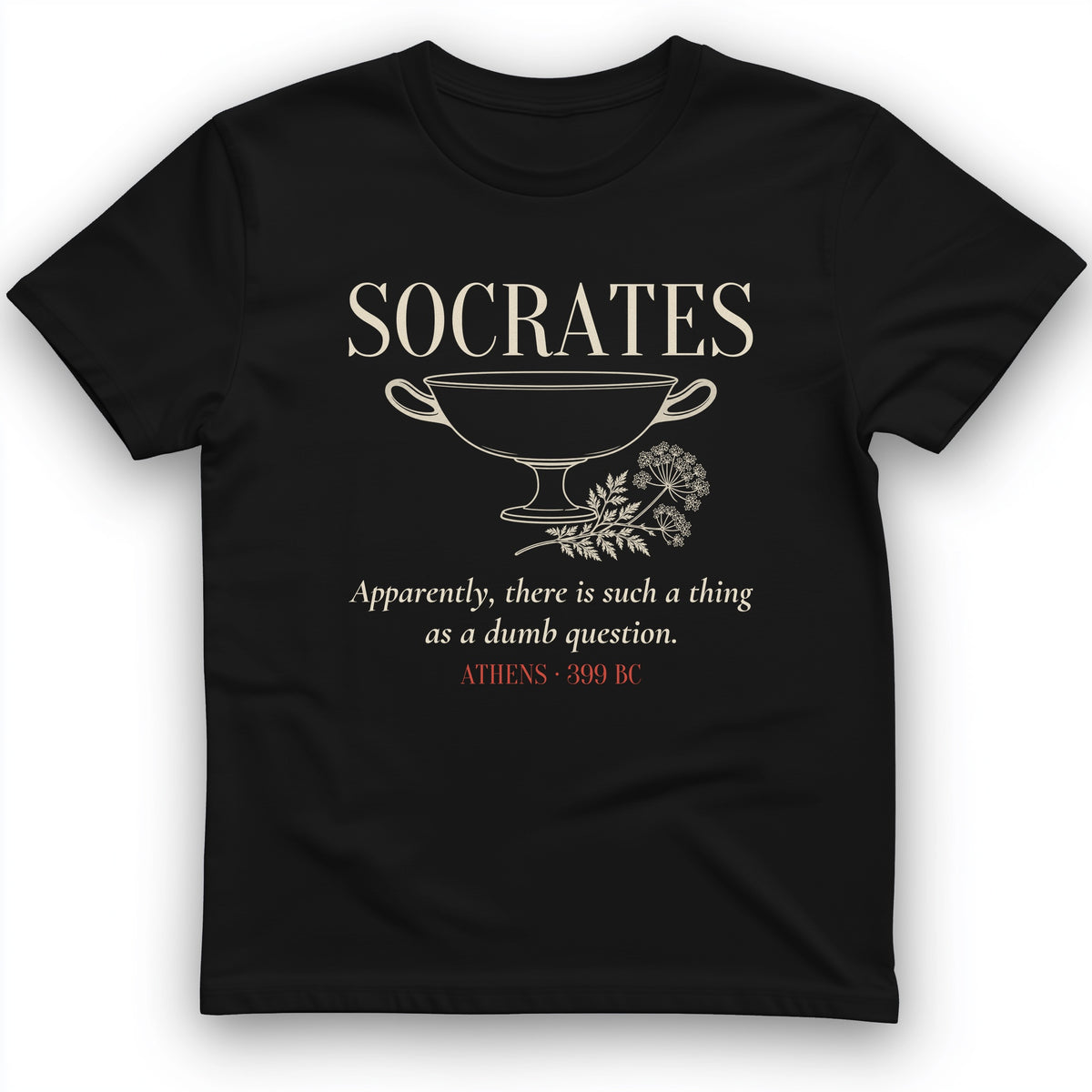 Socrates Dumb Question T-Shirt