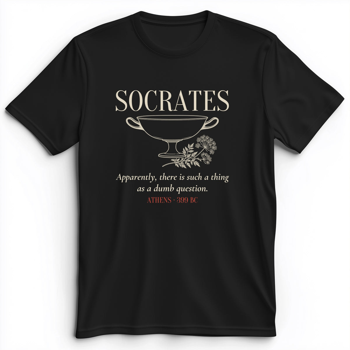 Socrates Dumb Question Premium Tee
