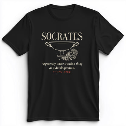 Socrates Dumb Question Premium Tee
