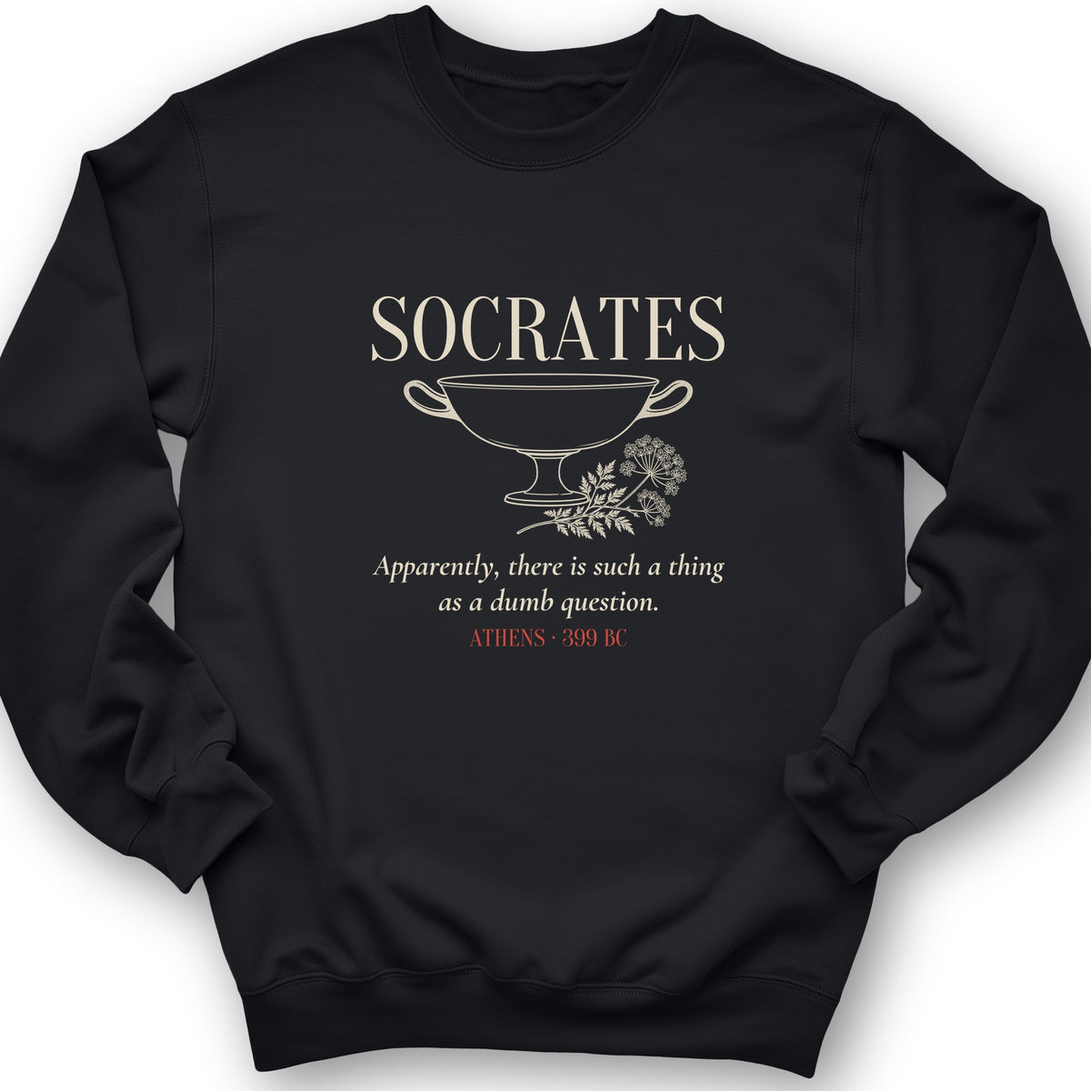 Socrates Dumb Question Crewneck