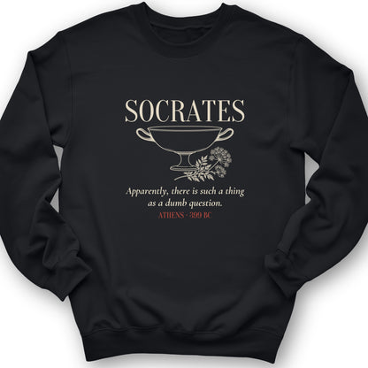 Socrates Dumb Question Crewneck