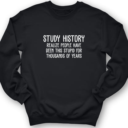 Study History Crewneck