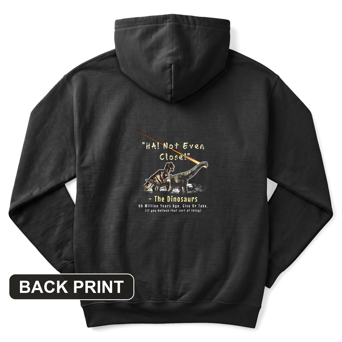 The Dinosaurs Back Print Hoodie