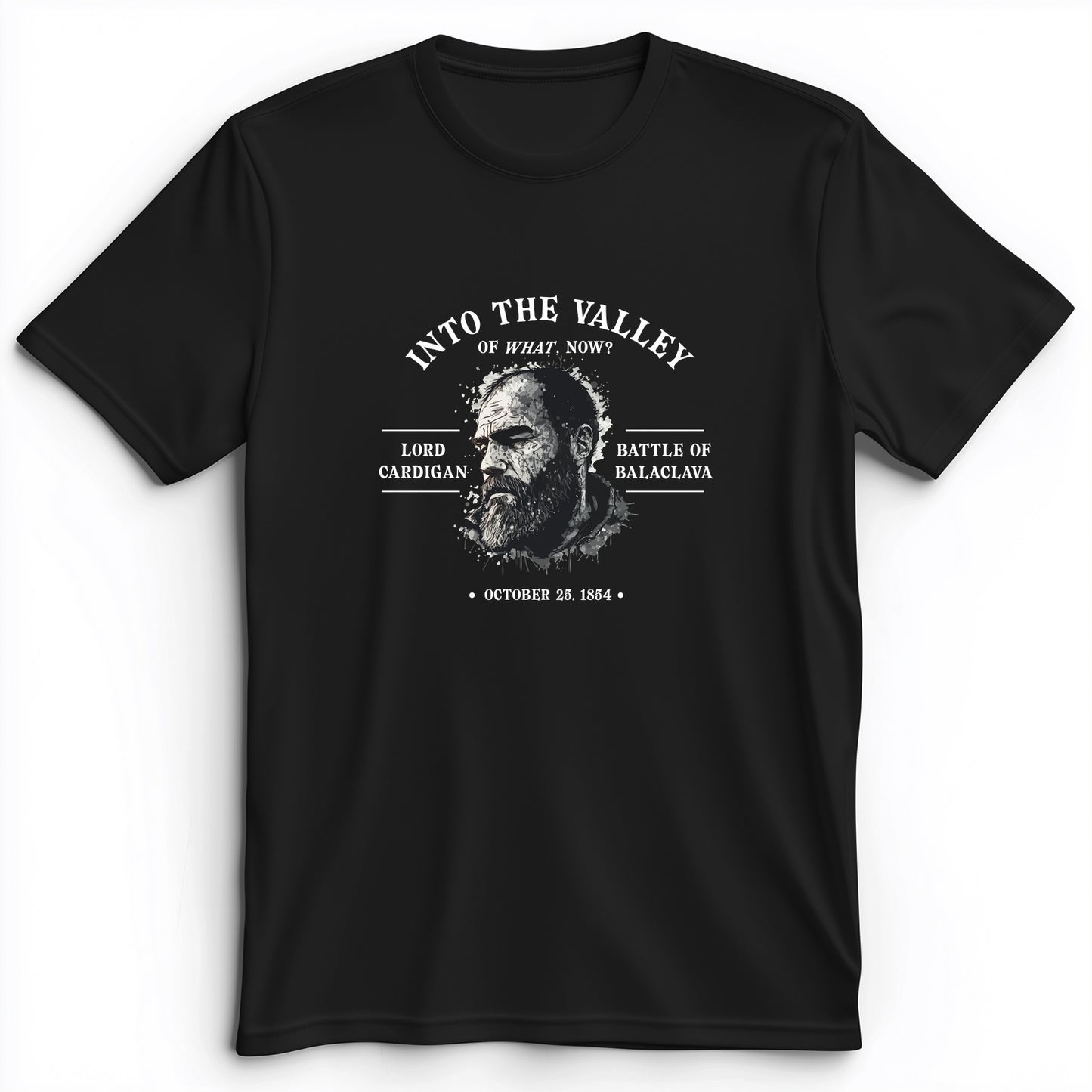 Valley Of What Now Premium Tee