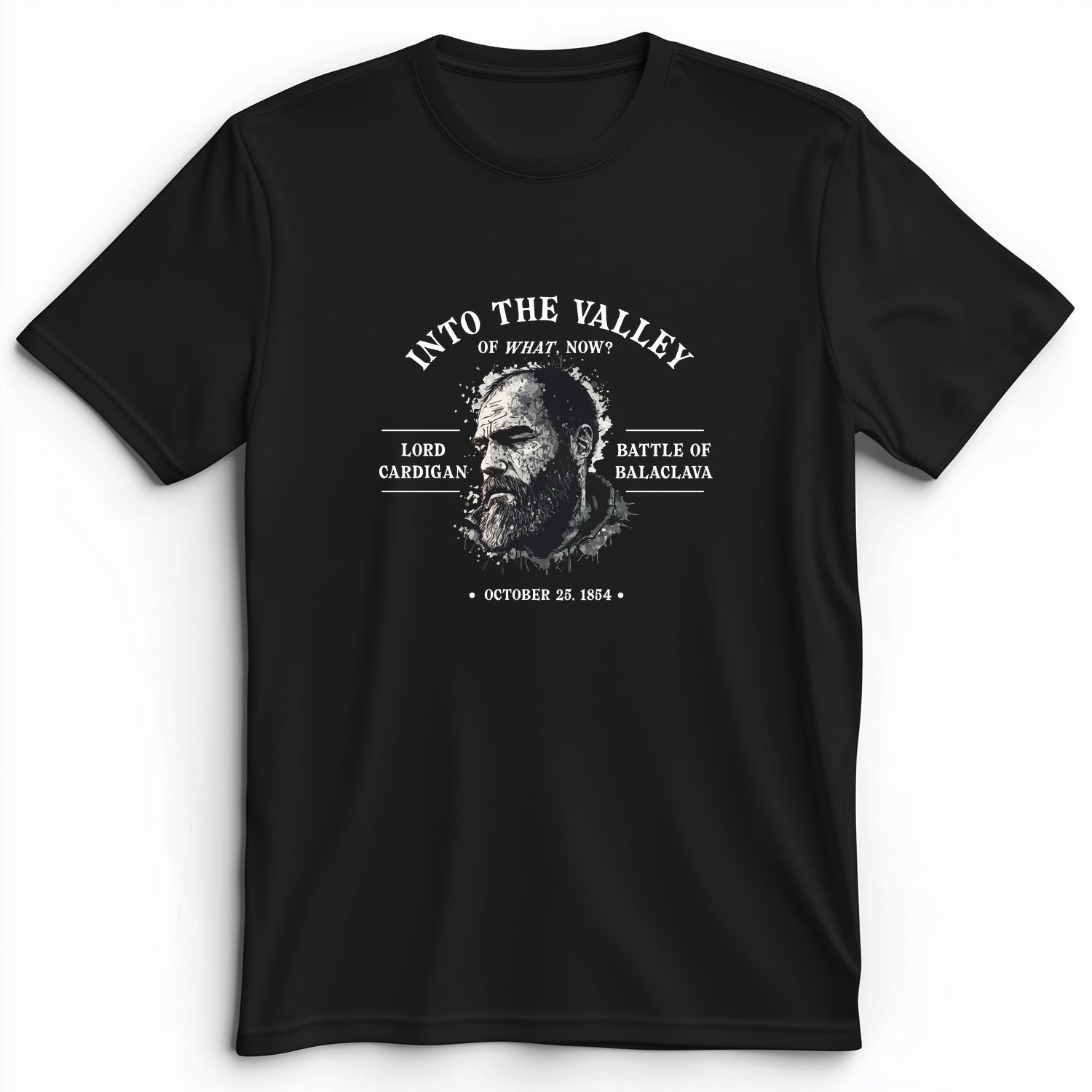 Valley Of What Now Premium Tee