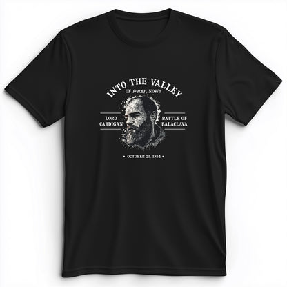 Valley Of What Now Premium Tee