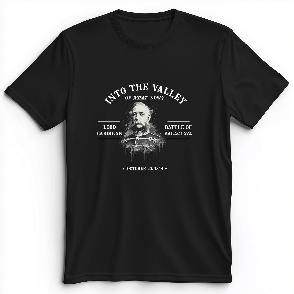 Valley Of What Now Premium Tee
