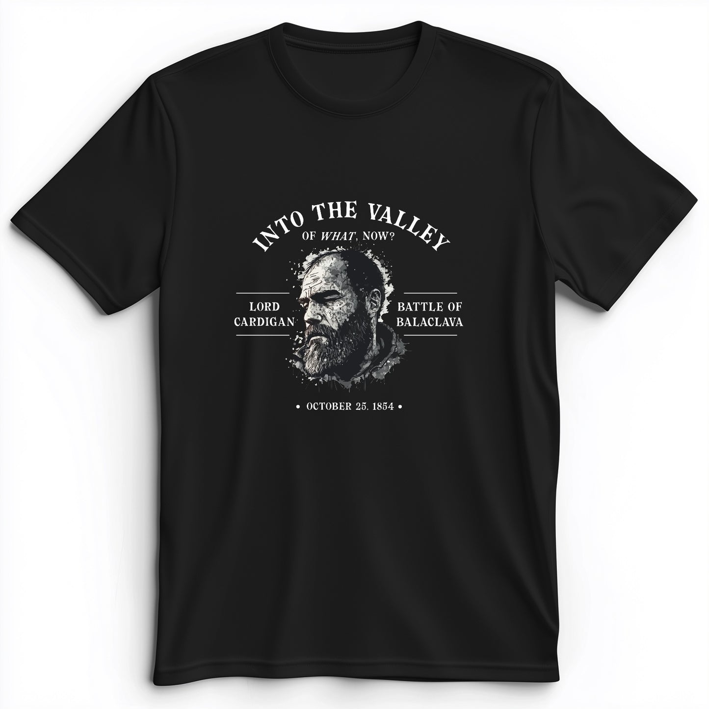 Valley Of What Now Premium Tee