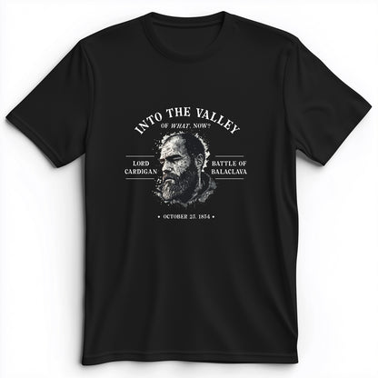 Valley Of What Now Premium Tee