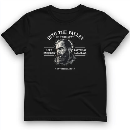 Valley Of What Now T-Shirt