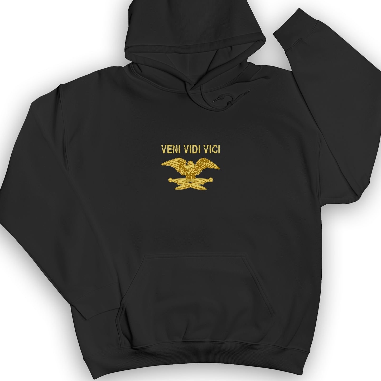 Veni Vidi Vici Hoodie