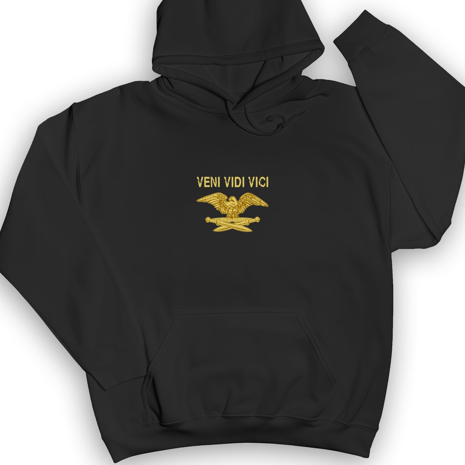 Veni Vidi Vici Hoodie