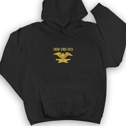 Veni Vidi Vici Hoodie
