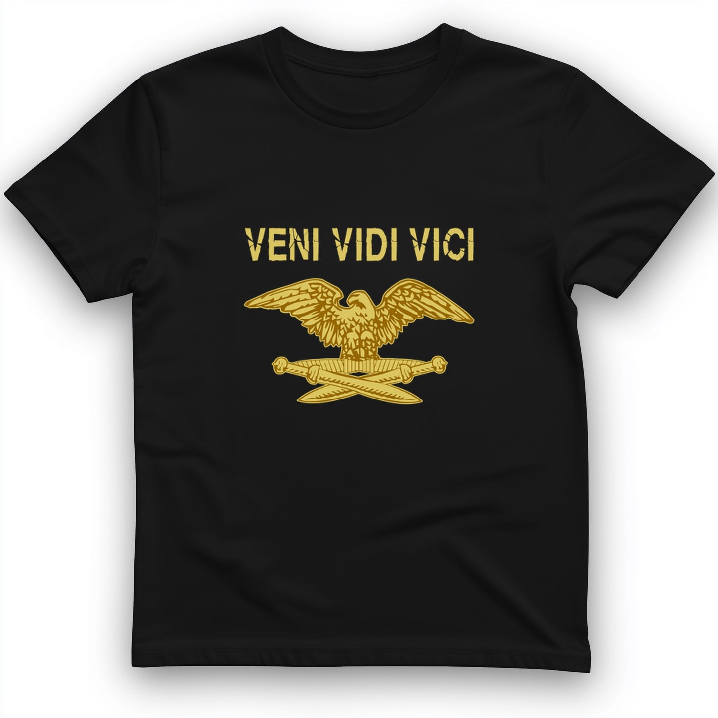Veni Vidi Vici T-Shirt
