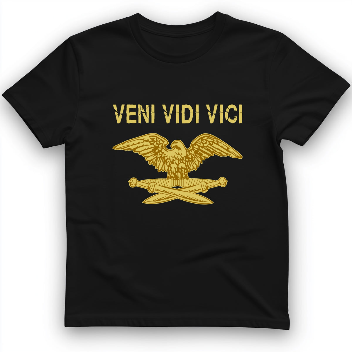 Veni Vidi Vici T-Shirt