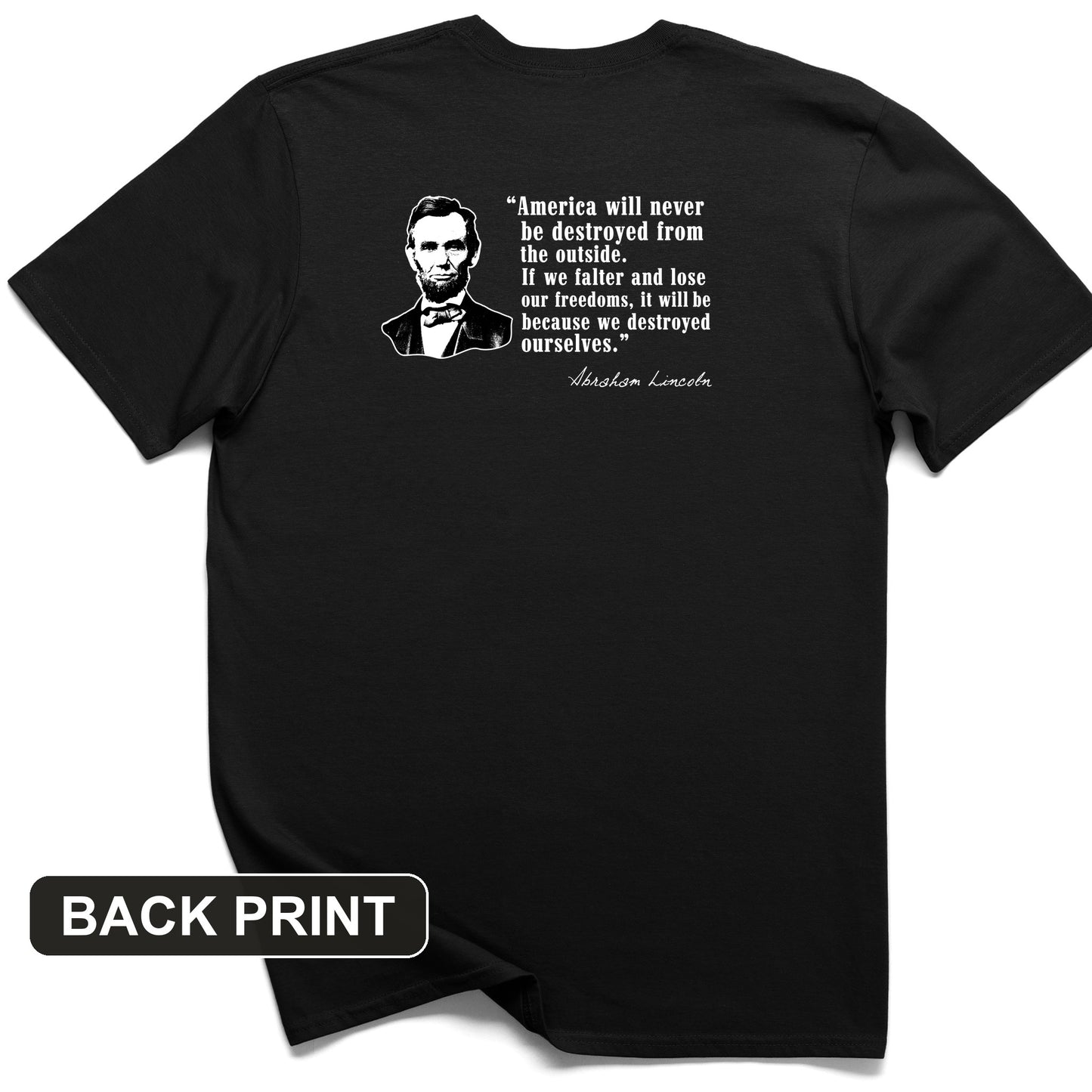 Destroyed Ourselves Lincoln Back Print T-Shirt