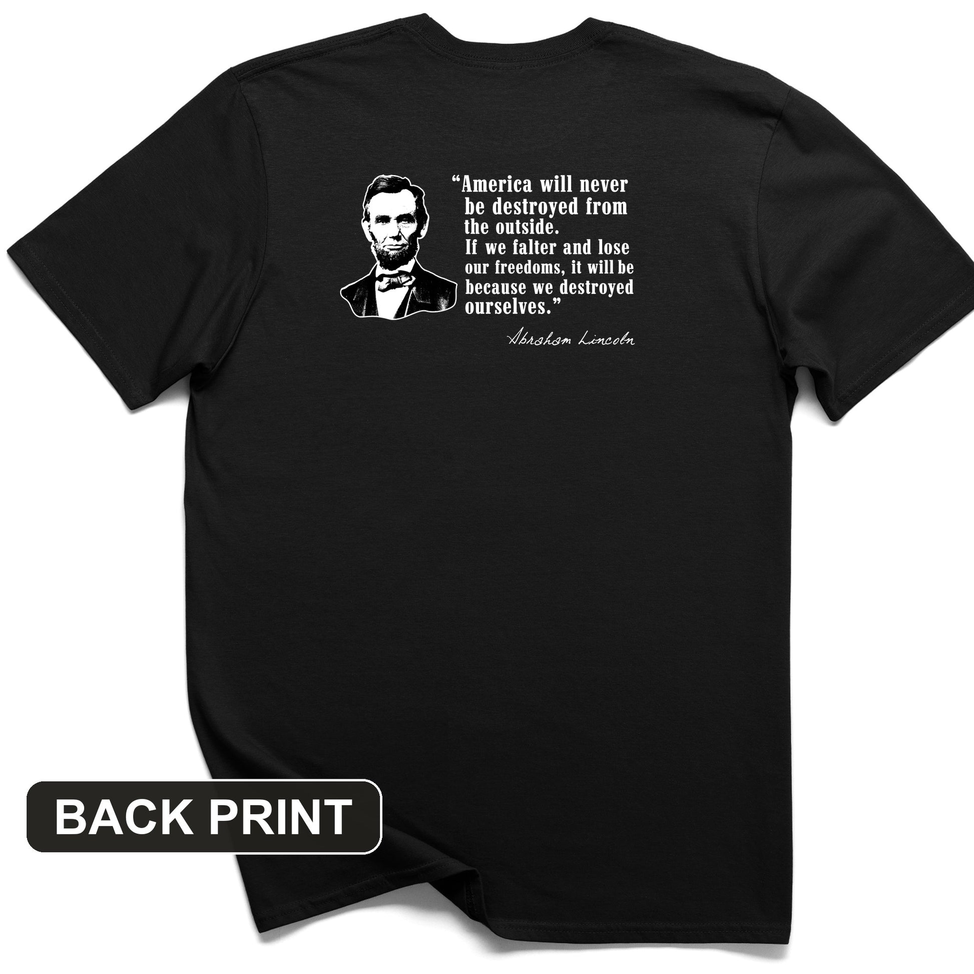 Destroyed Ourselves Lincoln Back Print T-Shirt